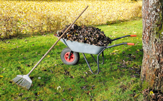Herfstpracht in de tuin: tips & tricks