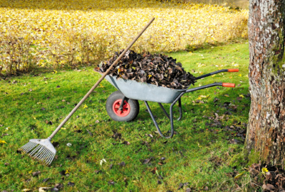 Herfstpracht in de tuin: tips & tricks