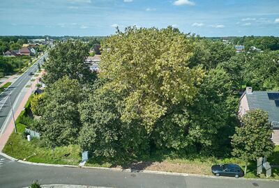 Bouwgrond te koop in Hamont-Achel