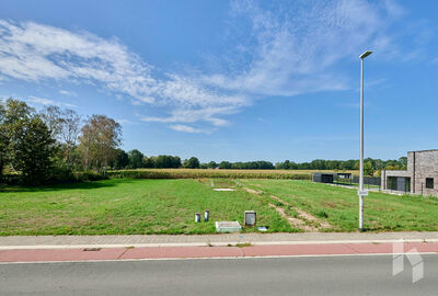Bouwgrond te koop in Overpelt