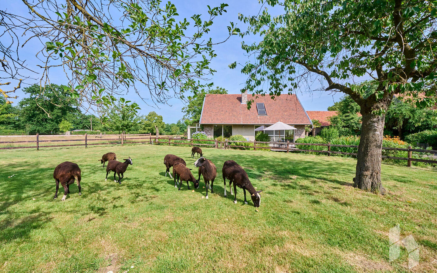 Hoeve te koop in Bocholt