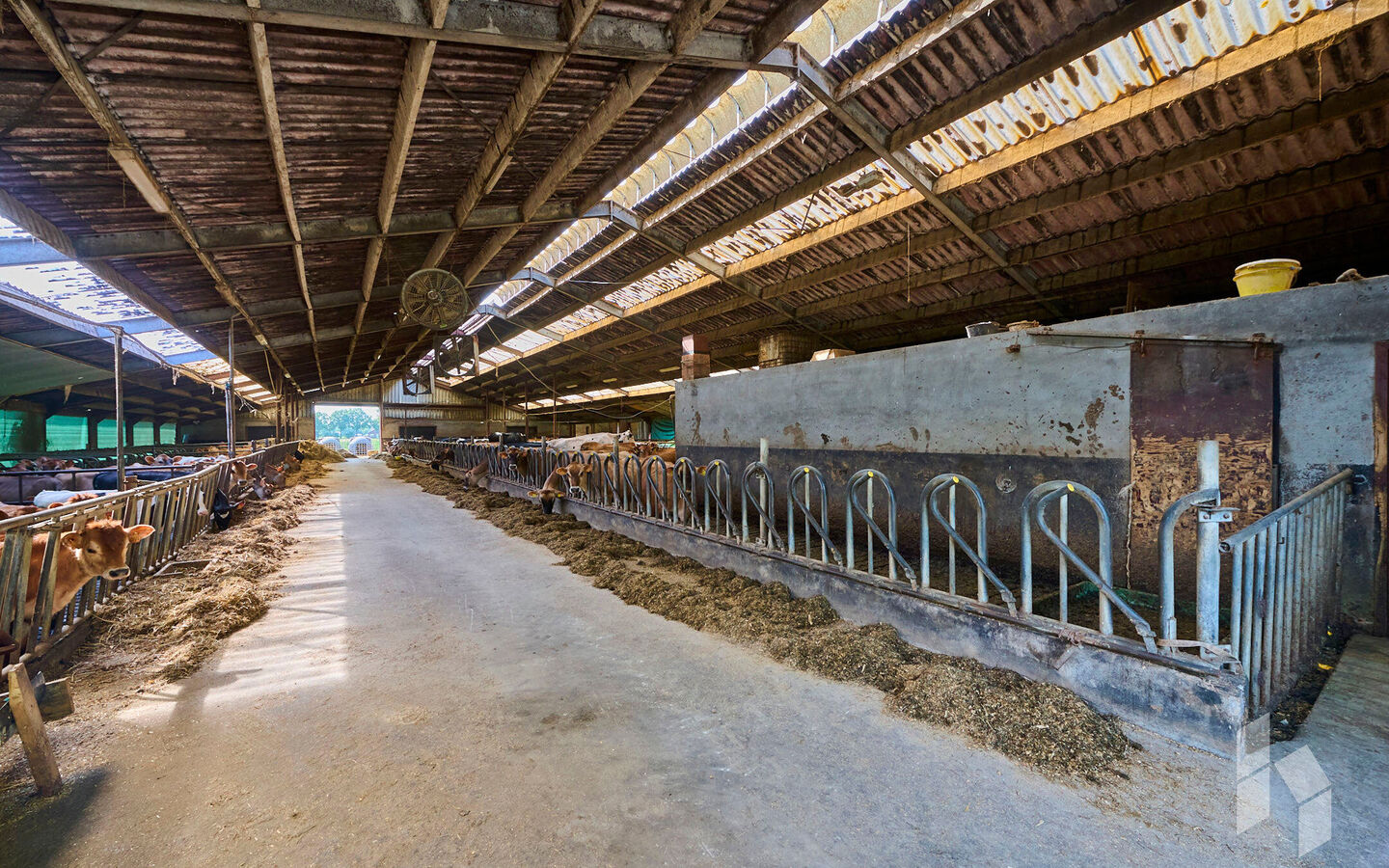 Hoeve te koop in Bocholt