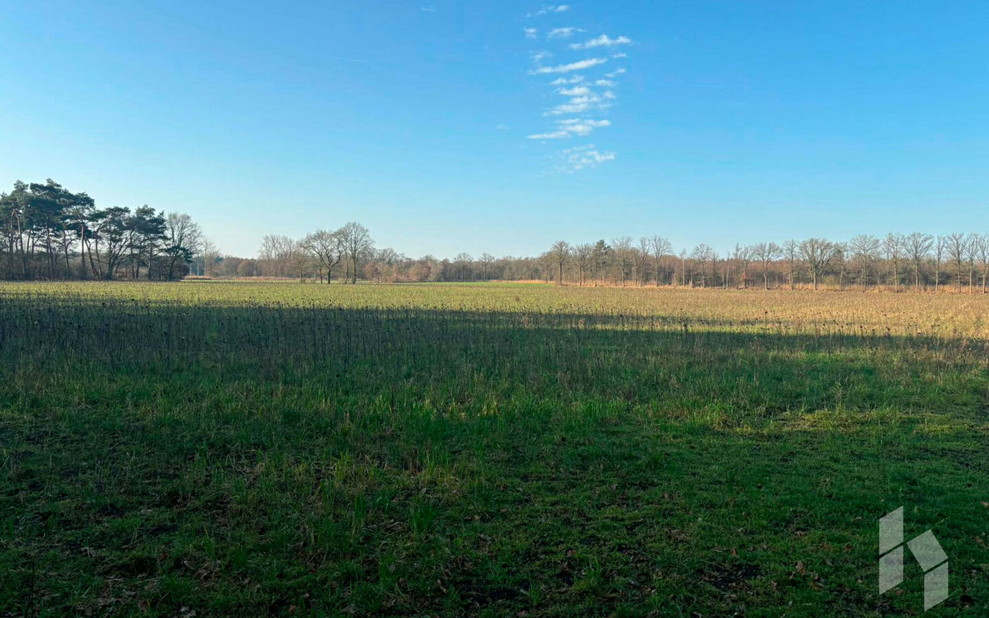 Landbouwgrond te koop in Hamont-Achel