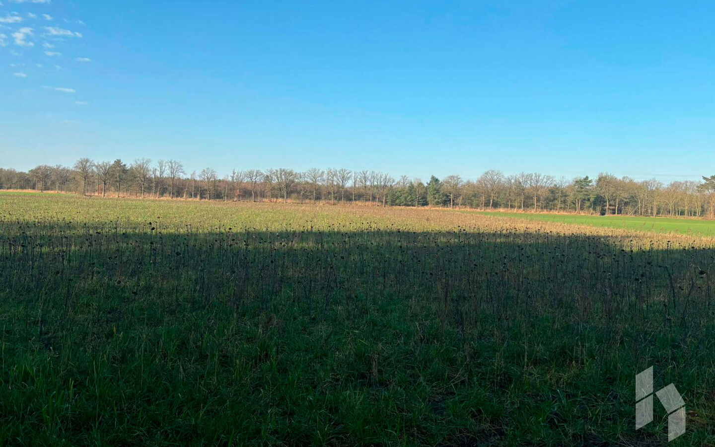 Landbouwgrond te koop in Hamont-Achel