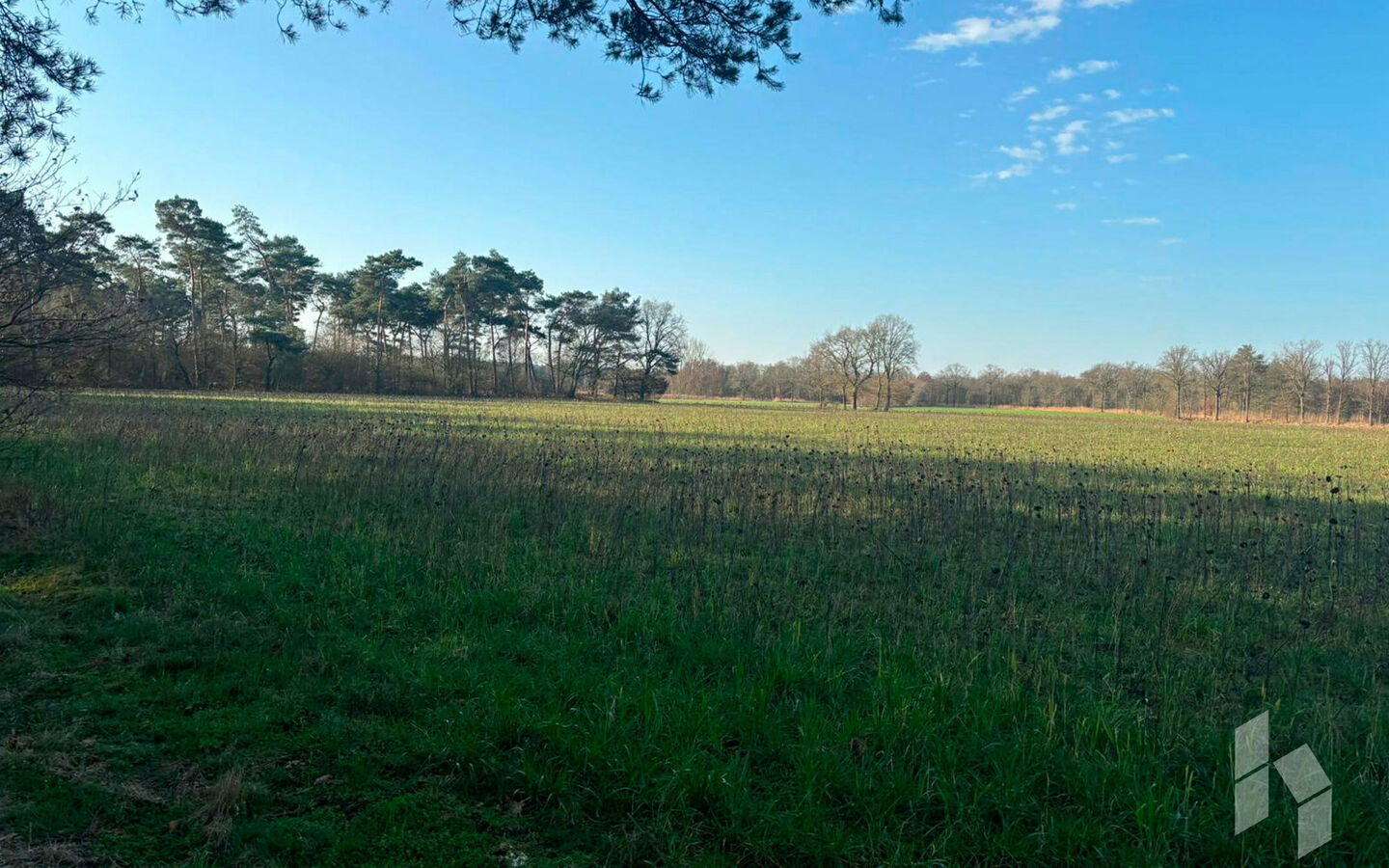 Landbouwgrond te koop in Hamont-Achel