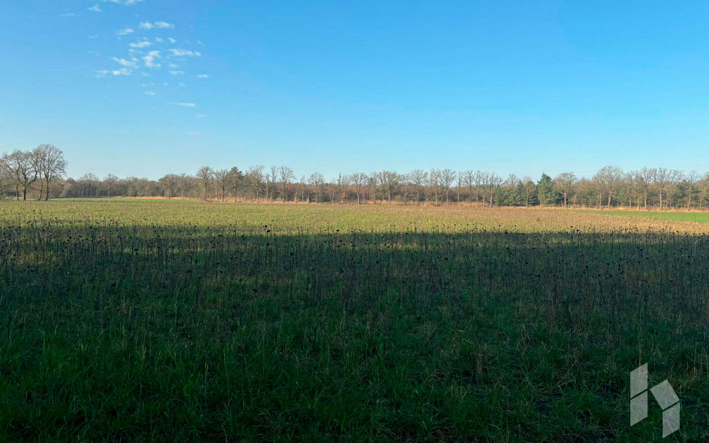 Landbouwgrond te koop in Hamont-Achel