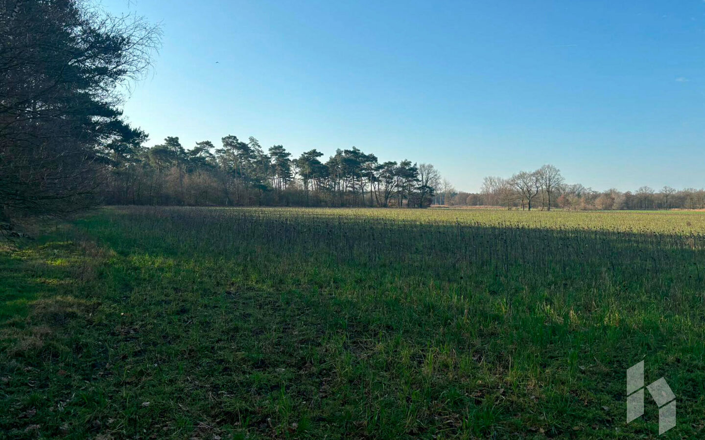 Landbouwgrond te koop in Hamont-Achel