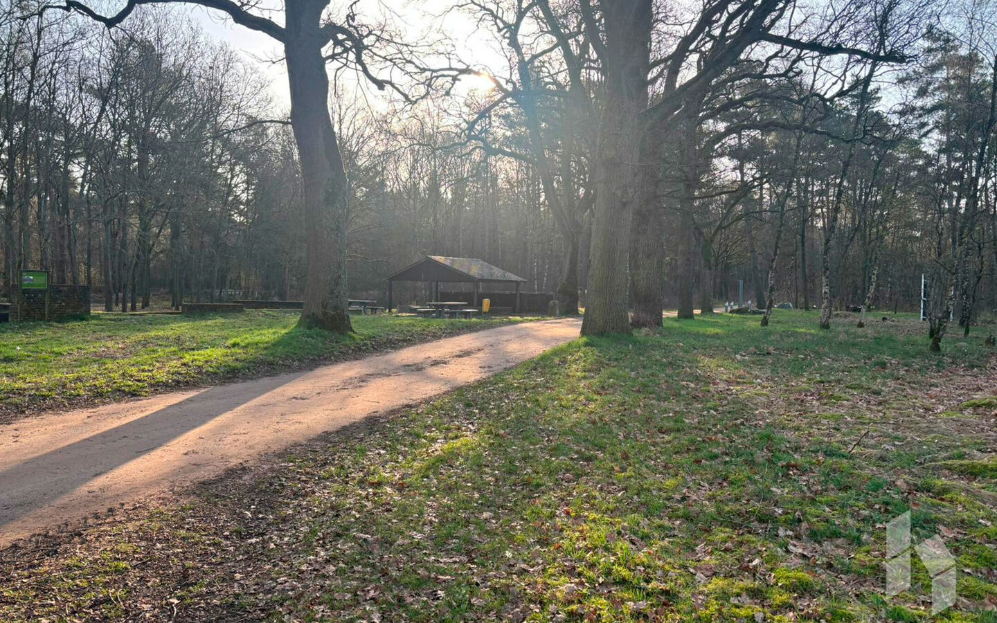 Landbouwgrond te koop in Hamont-Achel