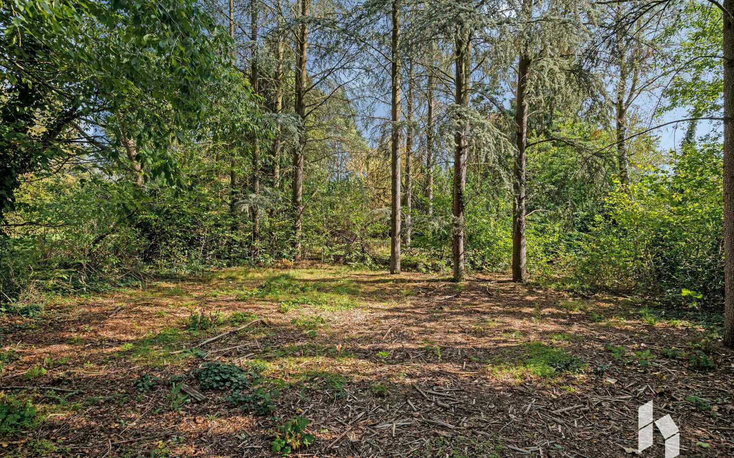 Villa te koop in Hamont-Achel