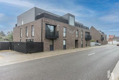 Appartement te huur in Mol