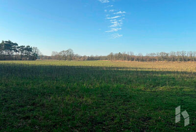 Landbouwgrond te koop in Hamont-Achel