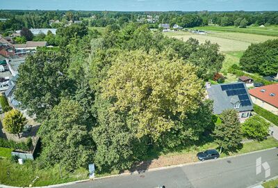 Bouwgrond te koop in Hamont-Achel