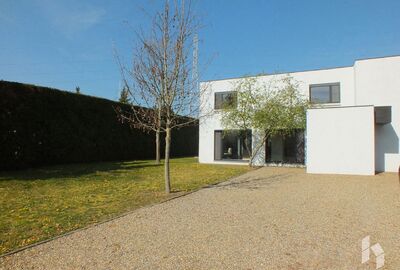 Eengezinswoning te huur in Overpelt